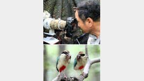 산으로 간 마도로스 “7년째 팔색조에 푹 빠져”