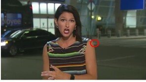 “헐, 저게 뭐야?”…생방중 리포터 팔 기어 다니는 ‘거미’