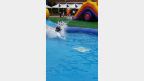 숭덕초등학교에 대형수영장…무슨 일?