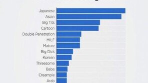 “북한 사람이 선호하는 성인물은?”…美성인사이트 1년치 통계 공개