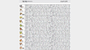 [오늘의 운세/7월29일]