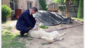文대통령 평창서 여름 휴가 시작…대통령 연차는 며칠?