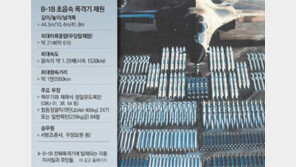 美 ‘죽음의 백조’ B-1B 2대 한반도 비행, 한번 출격으로 도시 초토화 가능