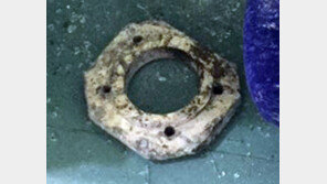 승객 7명 부상입힌 쇳덩이 대체 어디서? “10kg 사람이 던지는건 무리”