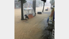 충북 음성 금왕읍, 도로·건물 일부 침수…“현재, 피해 접수 중”