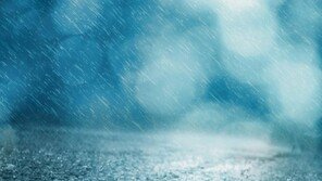 갑작스러운 호우를 만나도 내 음악은 멈추지 않아