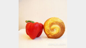 대구, 여수, 충주, 설악, 제주… 지역 특산빵으로 떠나는 ‘빵 헤는 전국일주’