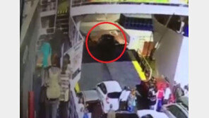 [영상]정박 전 배 빠져나가려던 승용차 , 바다에 ‘풍덩’