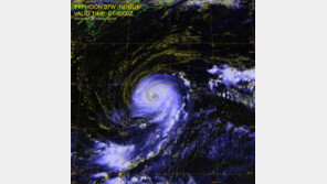‘태풍 노루’, 슈퍼태풍 →카테고리3…하지만 “매우 강한 중형 태풍”