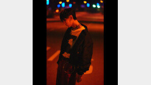 잘못쓰면 독…별들의 SNS