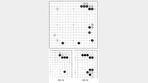 [바둑]알파고 vs 알파고 특선보… 바둑의 교본