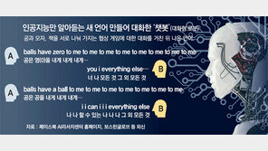 인간 따돌린 ‘AI끼리의 대화’