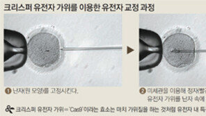 ‘유전병 대물림’ 막을 길 열렸다