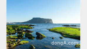 ‘스테이케이션’ 영향?…제주 포함 근거리 해외 휴양지 인기 ↑