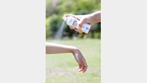 고온 다습한 올 여름 벌레 관련 질환 주의보 발령…예방은 선택 아닌 필수