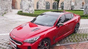 스팅어 가성비…풍문 듣고 “그래?” 시승 후엔 “와우!”