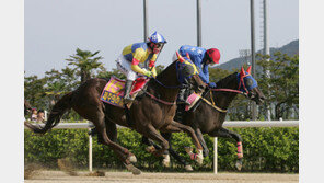 김혜선×제주의하늘 ‘여왕 즉위식’…감동이었어!