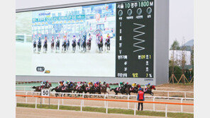 ‘제2회 코리아컵’ 우승 부탁하馬