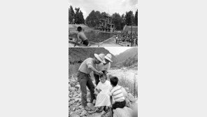 그 시절엔 어떻게 여름을 보냈을까… 국가기록원, 1950∼1990년대 사진 공개