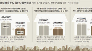 서울 9억 아파트 대출, 4억4200만원→ 2억4100만원
