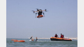 [규제와 규제개혁 사이] 나는 드론과 쫓는 규제