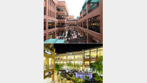 ‘복합쇼핑몰 영업규제’ 애꿎은 피해자 우려