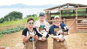 ‘삼시세끼’, 3년째 변함없는 파워…‘익숙함’의 힘