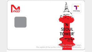 쓰는 외국인 1%… 몰라 못쓰는 ‘M패스’