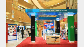 [평창이 부른다]스키 육성위해 2020년까지 100억원 이상 지원