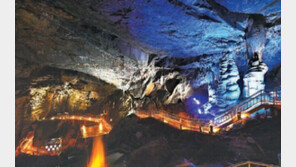 [평창이 부른다]천혜의 관광자원에 ‘한국의 멋’ 더해… 세계 속의 관광지로 