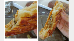 유명 프랜차이즈 빵 속에 곤충, ‘헉!’…본사 “저게 왜 들어갔을까? 죄송”