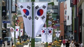 광복절 72주년… 부산 광복로에 태극기 약 1000기 ‘펄럭’