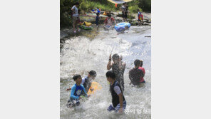 도림사 계곡의 피서객들