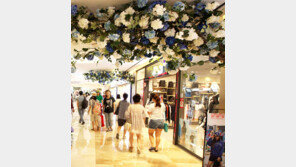 롯데월드몰 ‘수국 꽃길’ 조성