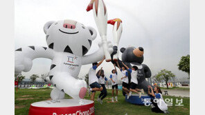 “평창 성공위해선 청소도 괜찮아”… 폭염도 못말리는 실버들의 열정