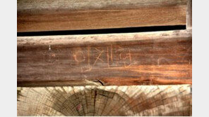 일본 국보에 ‘임채현’ 한국어 낙서…“국가에 먹칠” 비난 여론