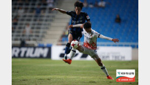 폭염·폭우에 훼손, 잔디도 쉬고 싶다