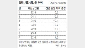 7월 20대 취업자 381만명… 3개월 연속 감소