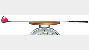 209g… 드라이버야, 깃털이야