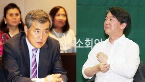 이상돈 “안철수 당대표 되면 의원들 집단 이탈할 것”