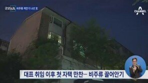 ‘정치 1번지’ 구기동, 알고 보니…문재인 대통령도 5년간 거주