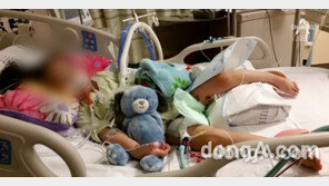 법원  “햄버거 위생점검 결과 공개하라”…맥도날드 가처분신청 기각 