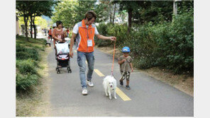 서울시, 유기견 분양 상담 행사 열어