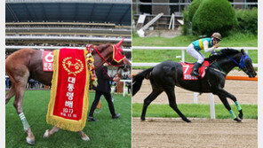 트리플나인 vs 파워블레이드, 국산마 1인자 빅매치