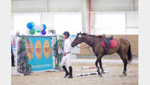 [콤팩트뉴스] 경주퇴역마 평가대회 참가 신청 접수 外