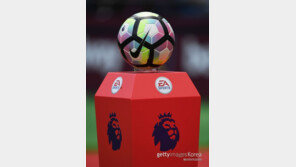 EPL 출범 25년, 누적관중 3억1300만명 넘어…시어러, 통산 260골 최다골