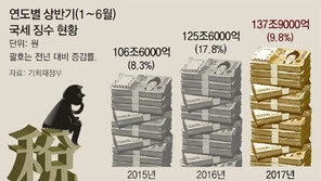 나라 곳간은 풍족한데… 지갑 못 여는 서민들