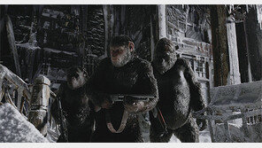 영화 속 인간지능 넘어서는 ‘슈퍼 침팬지’… 현실서도 가능하다