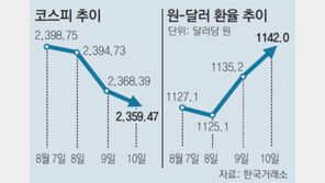 WSJ “한국선 주식 저가매수 기회로 생각”