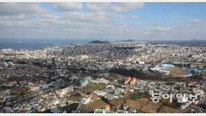 ‘디딤돌 대출’도 실거주자에만 허용…디딤돌 대출이란?